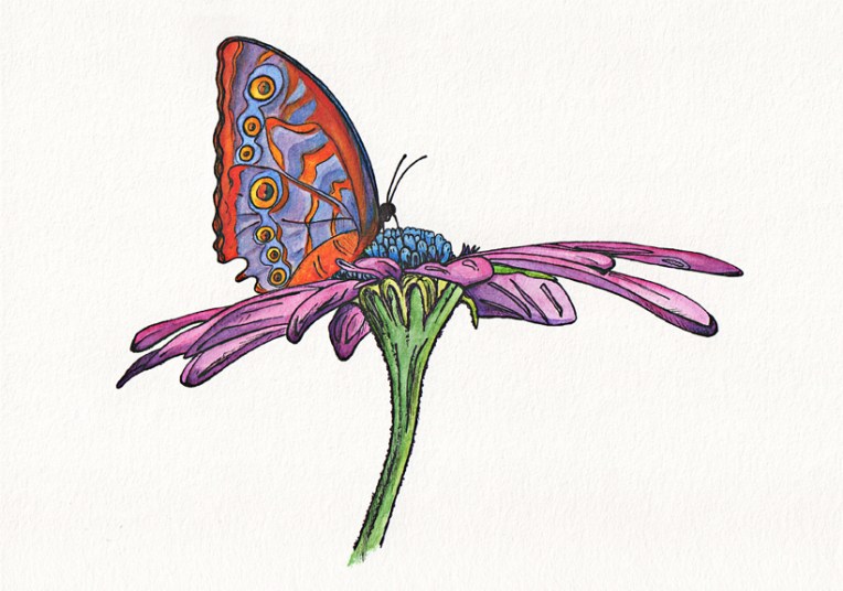 Easter daisy – watercolour on paper, 200 x 290 mm, 2012.