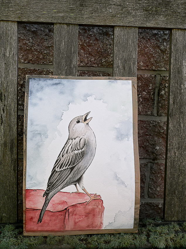 On a good day... photo