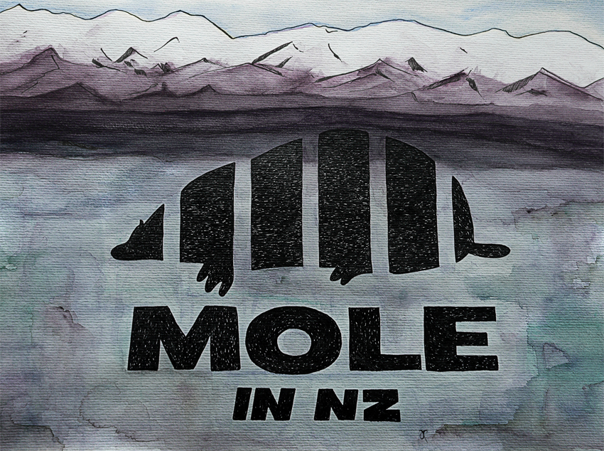 Anna Cull Mole in NZ