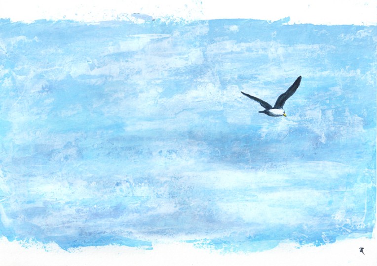 Anna Cull seagull #1