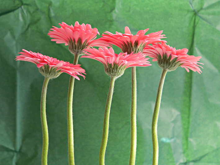 Original photo, 2004.