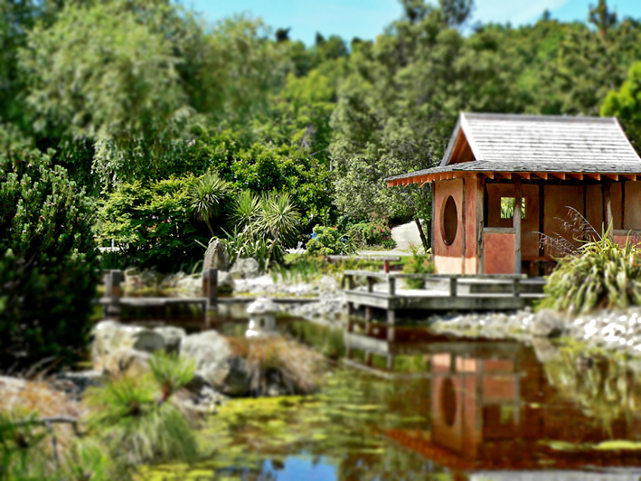 Miyazu Garden, 2013.