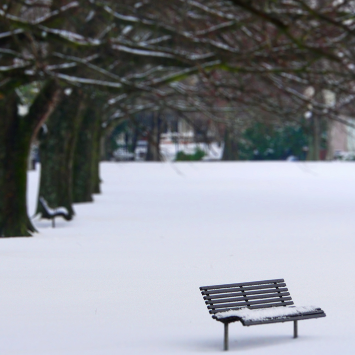 Spreydon Domain, 2013.