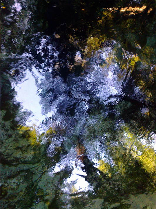 Hamurana Springs, original photo, 2013.