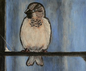 Work in progress #4 – adding black and white