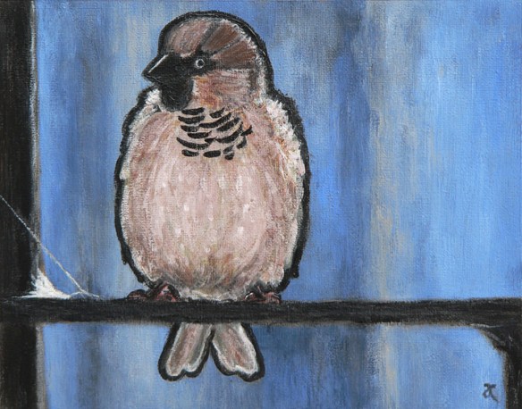 Sparrow – acrylic on canvas, 200 x 255 mm, 2013
