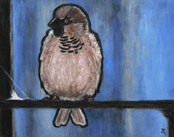 Sparrow – acrylic on canvas, 200 x 255 mm, 2013