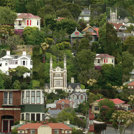 Dunedin, photo montage, 2013