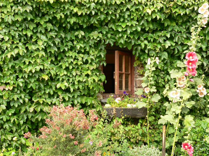 Wordless Wednesday #5, Nelson, 2009