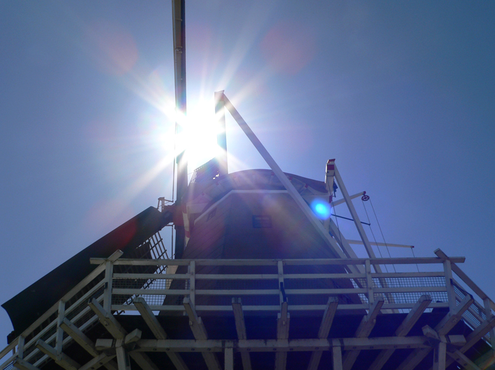 Wordless Wednesday #4, Foxton, 2008