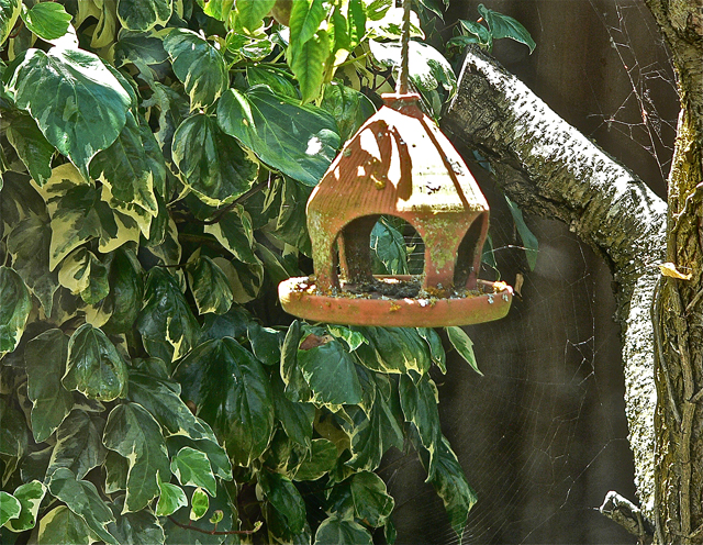 Wordless Wednesday #8, Christchurch, 2010