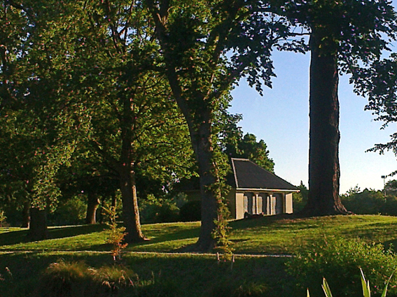 Riverbank (the Avon River), Christchurch, 2013