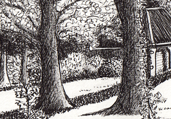 The riverbank, detail