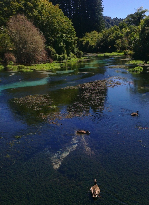 Wordless Wednesday #12, Hamurana Springs, 2013