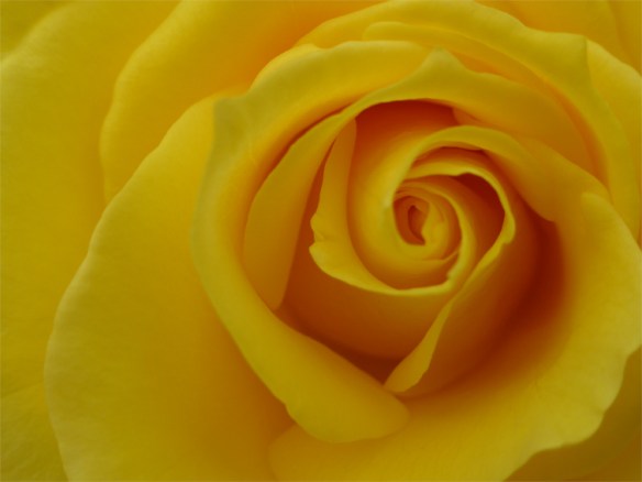 Wordless Wednesday #11, 2014