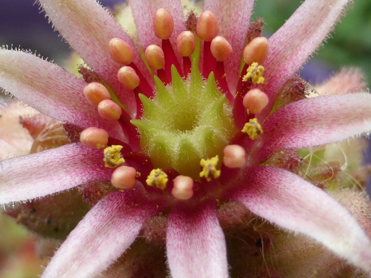 Wordless Wednesday #14, 2014