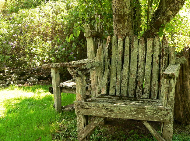 Wordless Wednesday #16, Golden Bay, 2011