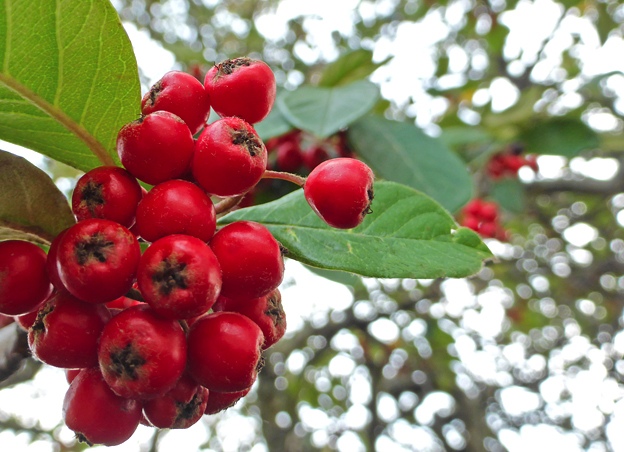 Wordless Wednesday #25, Christchurch, 2014