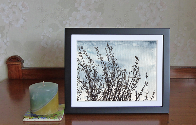 Black bird, June 2014 — ink and watercolour, 240 x 180 mm, 2014