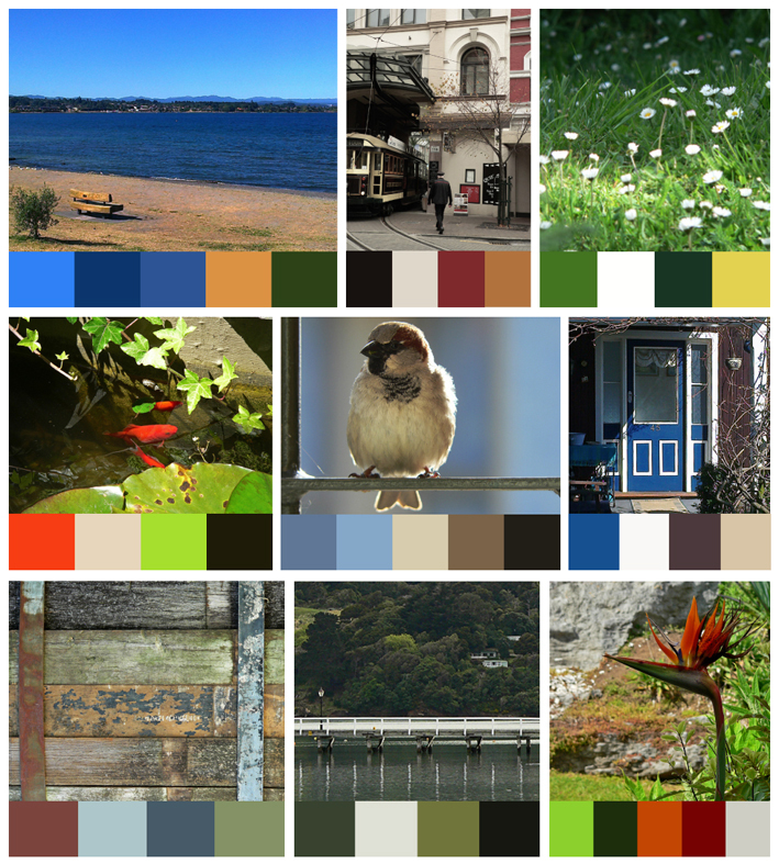 Anna Cull Colour Stories 2