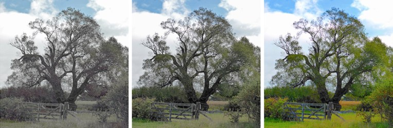 Country gates, Canterbury, 2014