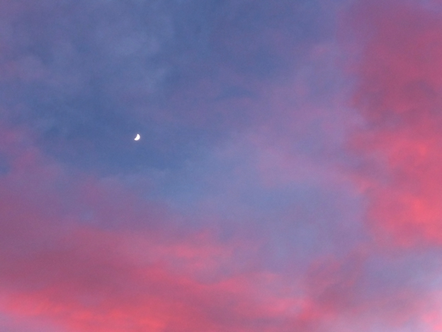 Wordless Wednesday #22, Christchurch, 2014