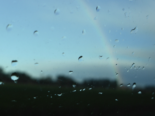 Wordless Wednesday #24, Christchurch, 2014