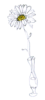 Ten-second gerbera sketch, 2010