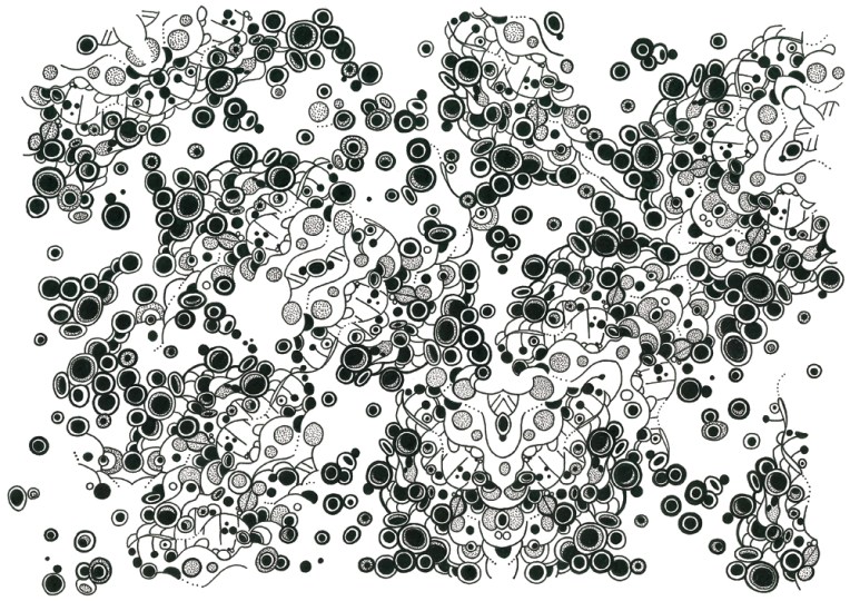 Anna Cull Pattern 2010