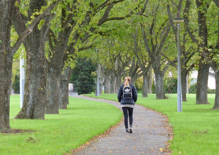 Anna Cull Autumn in the park 2014