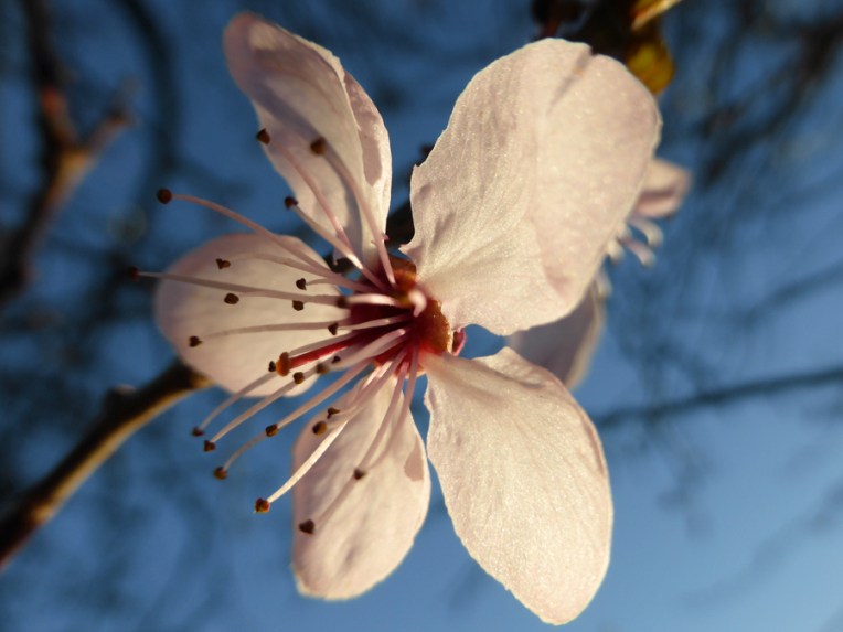 Wordless Wednesday #31, Christchurch, 2014