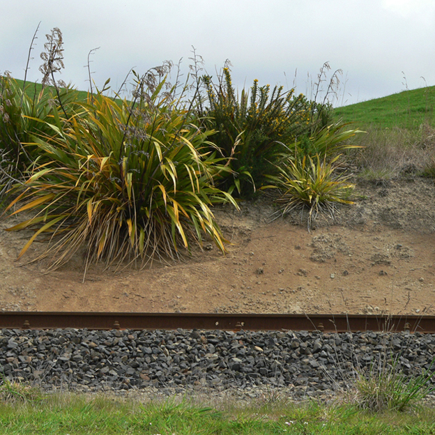 Tracks, Central Otago, 2013