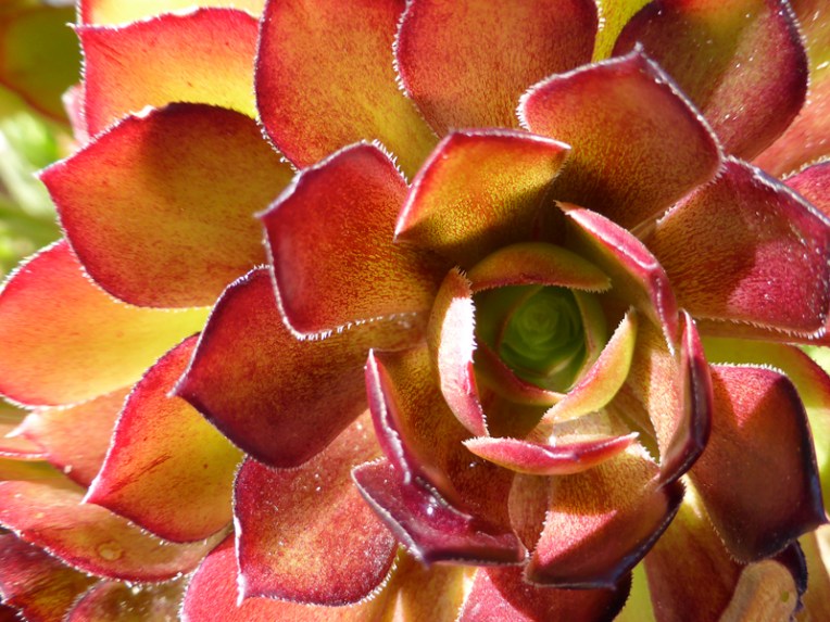 Wordless Wednesday #38, 2014