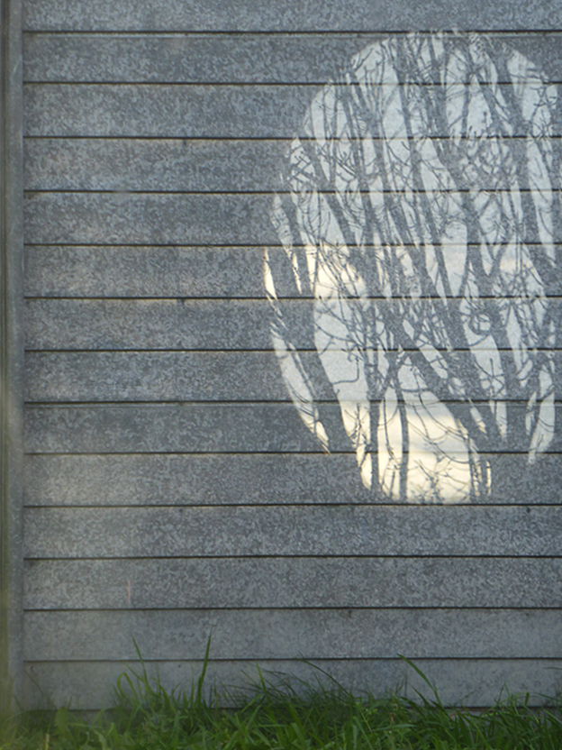 Reflection reflection, 2014