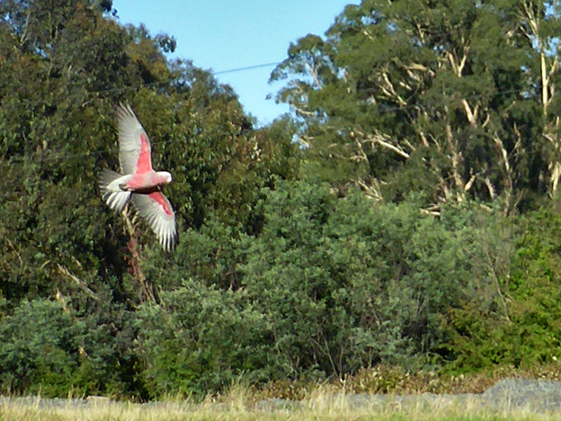 Life is too short to blend&nbsp;in