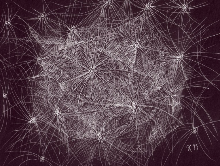 Dandelion study — ink on paper, digitally edited, 2015