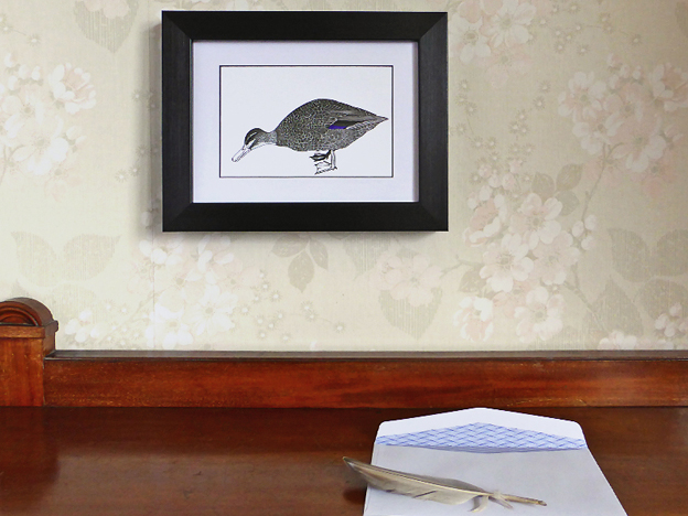 Grey Duck note card, framed