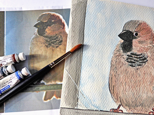 Little Sparrow — ink and watercolour, unframed 240 x 180 mm