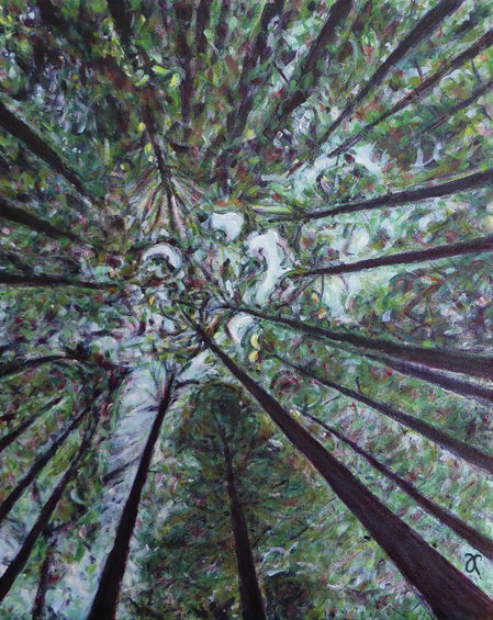 Things are looking up