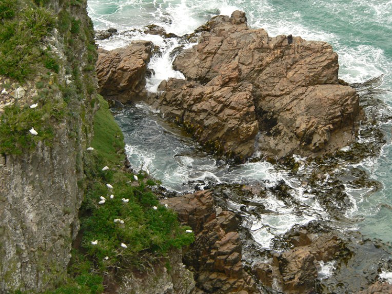 Nugget Point, original photograph, 2013