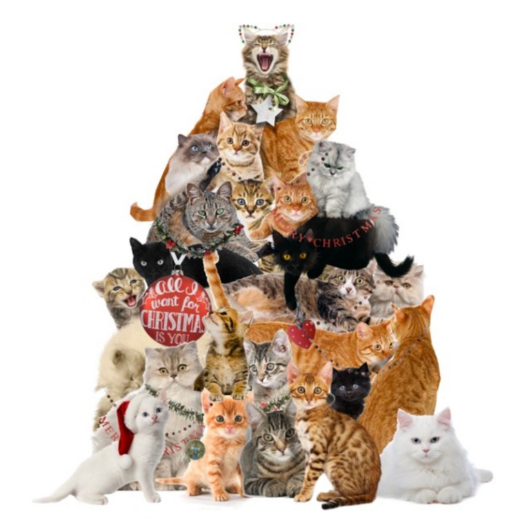 * All I Want for Christmas is You *