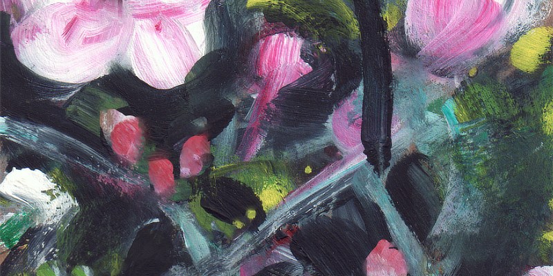 small acrylic painting study of pink blossoms, spring in New Zealand