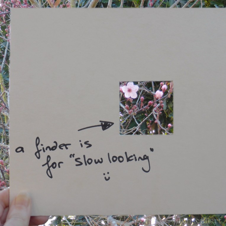 a photo of a DIY cardboard viewfinder being used to crop a photo of spring blossoms