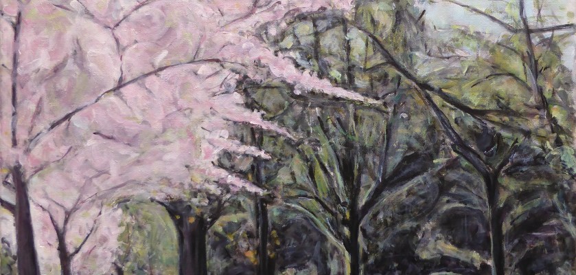 final painting of pink cherry trees lining a footpath bordering Hagley Park in Christchurch, New Zealand